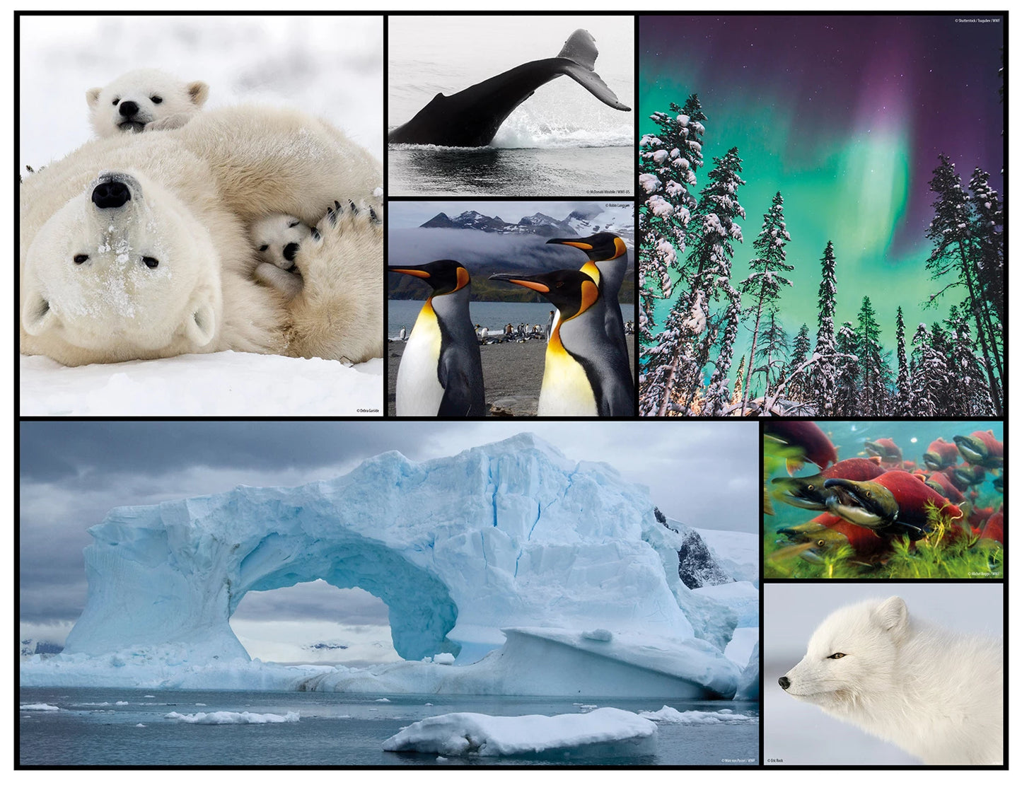 BODENPUZZLE POLAR, 48 TEILE