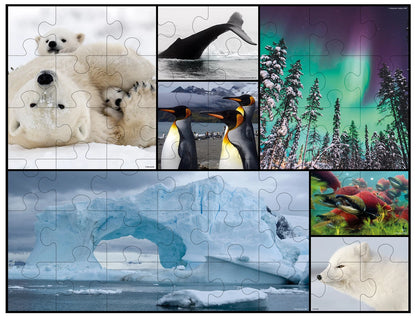 BODENPUZZLE POLAR, 48 TEILE