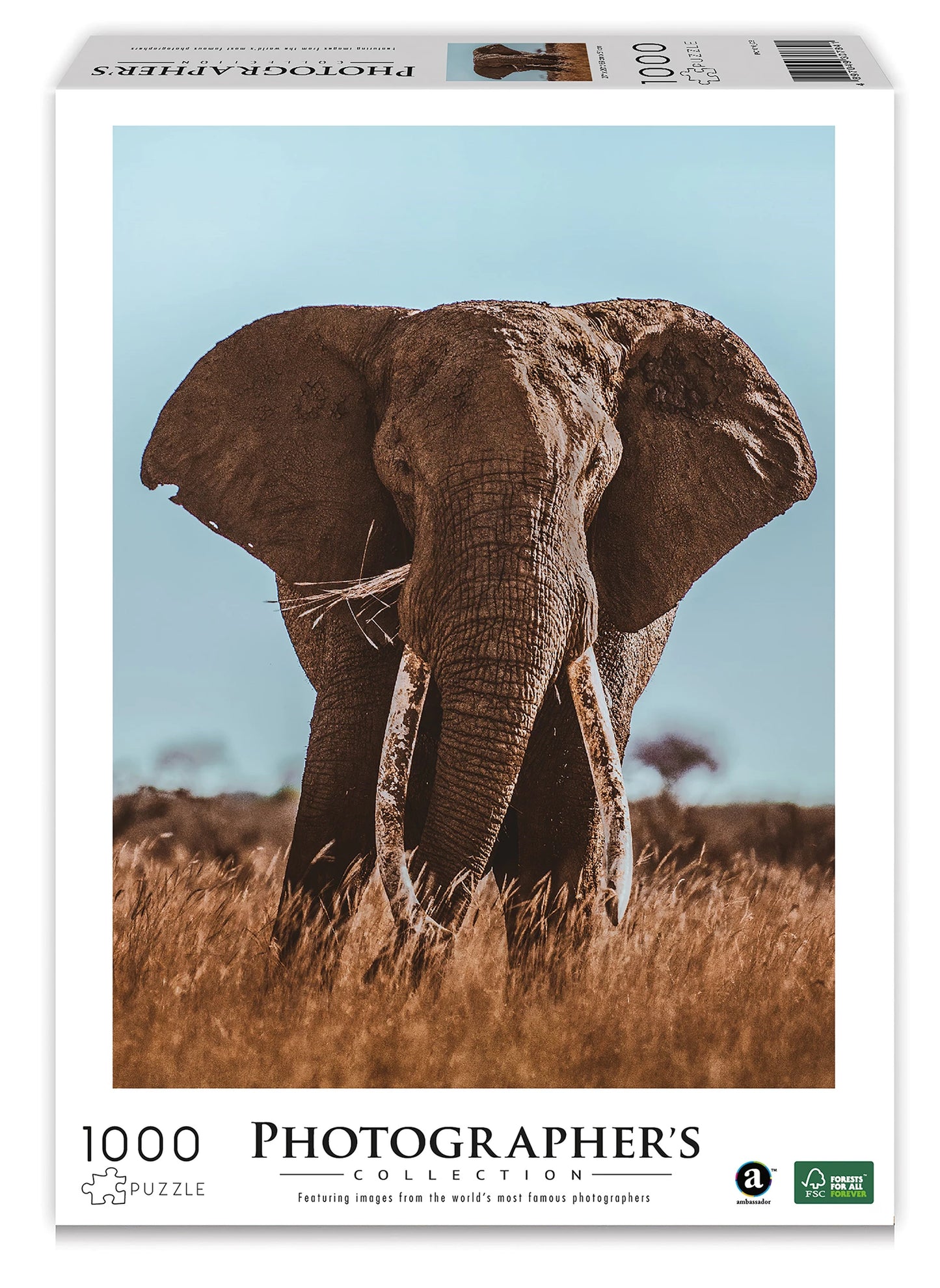 ÉLÉPHANT D'AFRIQUE 1000 PIÈCES (DONAL BOYD)