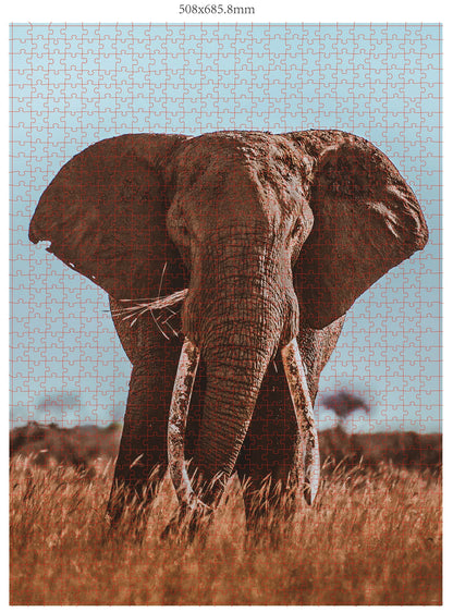 ÉLÉPHANT D'AFRIQUE 1000 PIÈCES (DONAL BOYD)