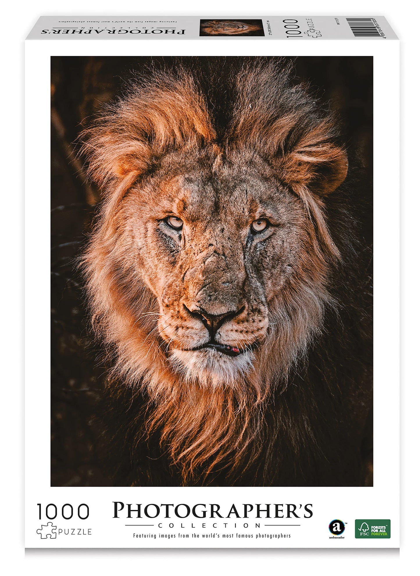 TÊTE DE LION 1000 PIÈCES (DONAL BOYD)