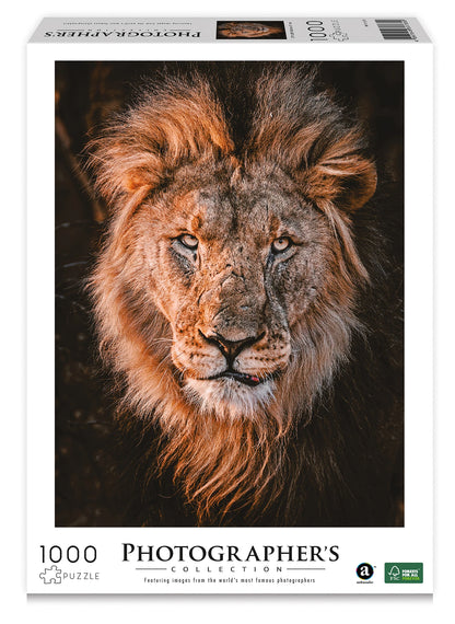 TÊTE DE LION 1000 PIÈCES (DONAL BOYD)