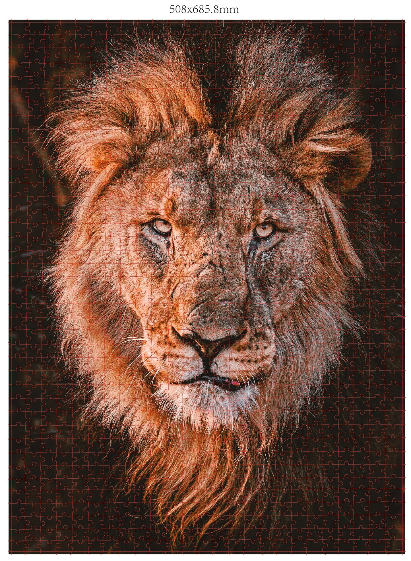 TÊTE DE LION 1000 PIÈCES (DONAL BOYD)
