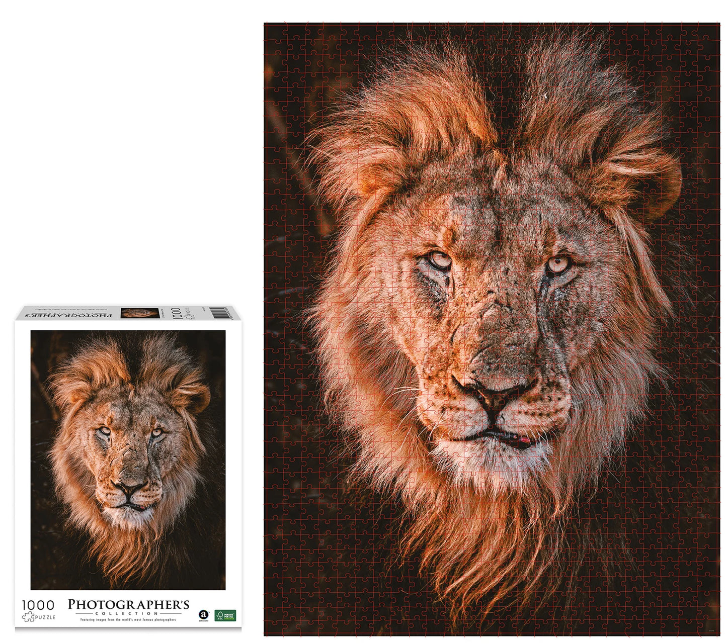 TÊTE DE LION 1000 PIÈCES (DONAL BOYD)