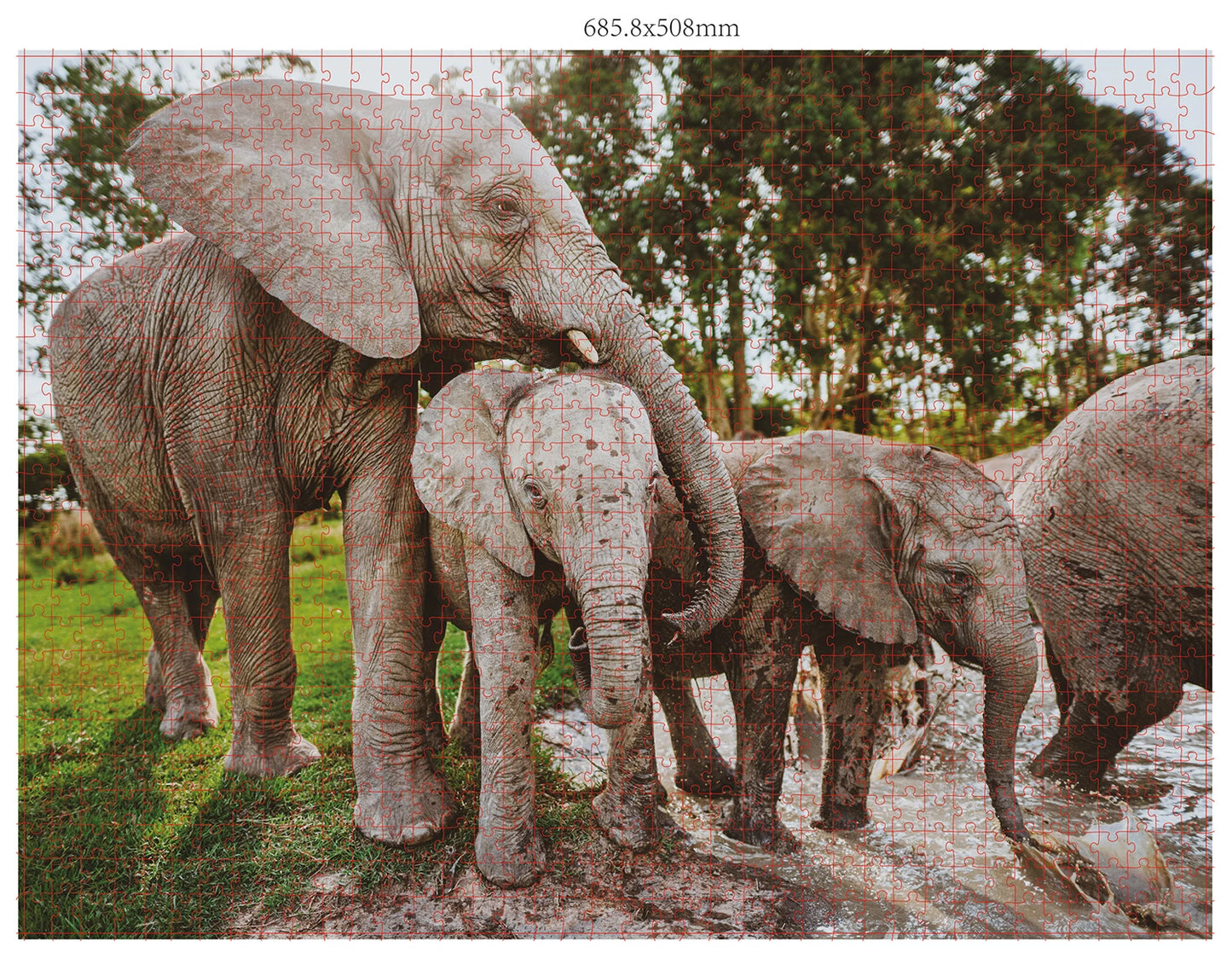 FAMILLES D'ANIMAUX SAUVAGES 3X1000 PIÈCES (DONAL BOYD)