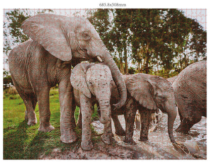 FAMILLES D'ANIMAUX SAUVAGES 3X1000 PIÈCES (DONAL BOYD)
