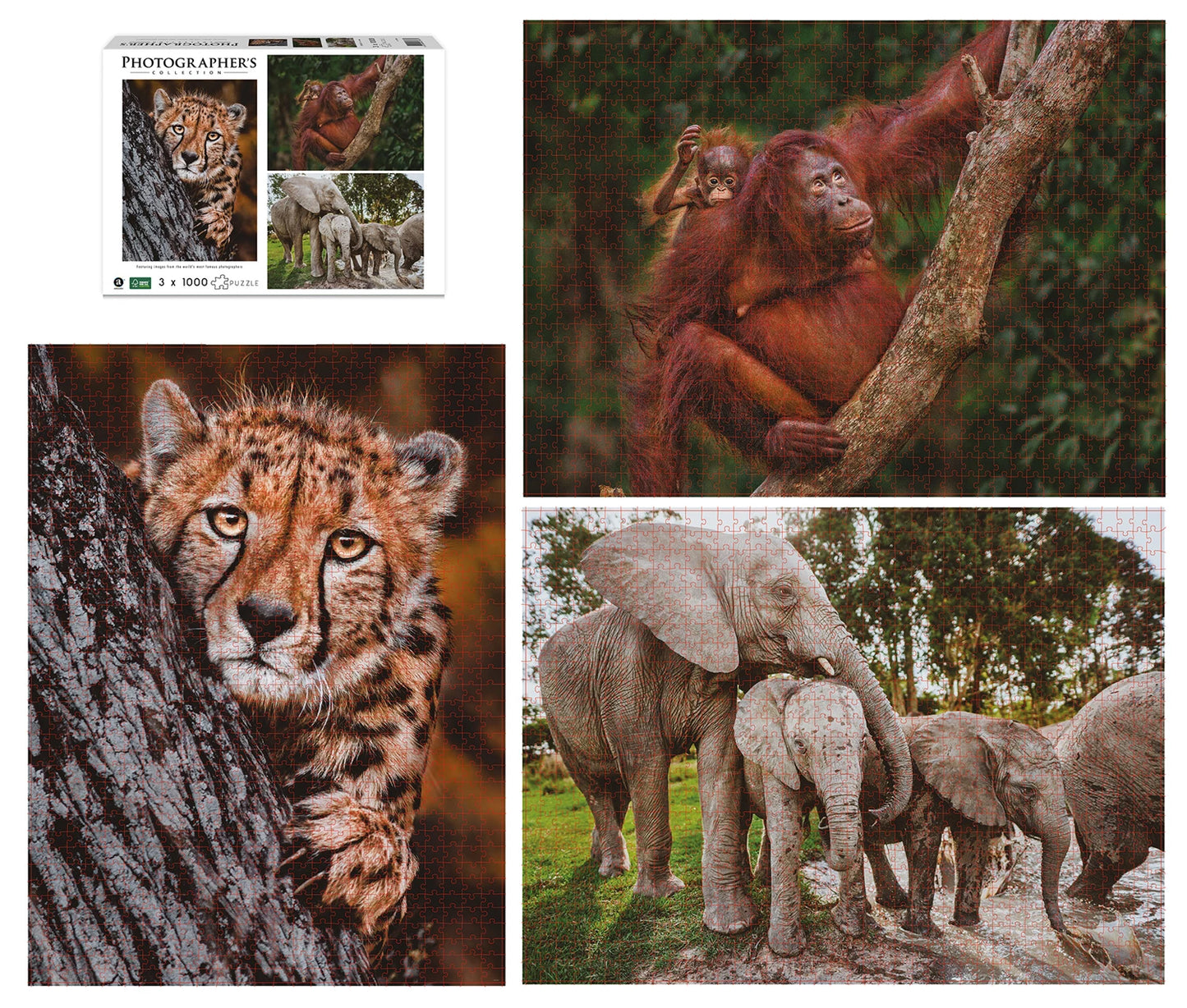 FAMILLES D'ANIMAUX SAUVAGES 3X1000 PIÈCES (DONAL BOYD)