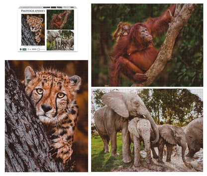FAMILLES D'ANIMAUX SAUVAGES 3X1000 PIÈCES (DONAL BOYD)