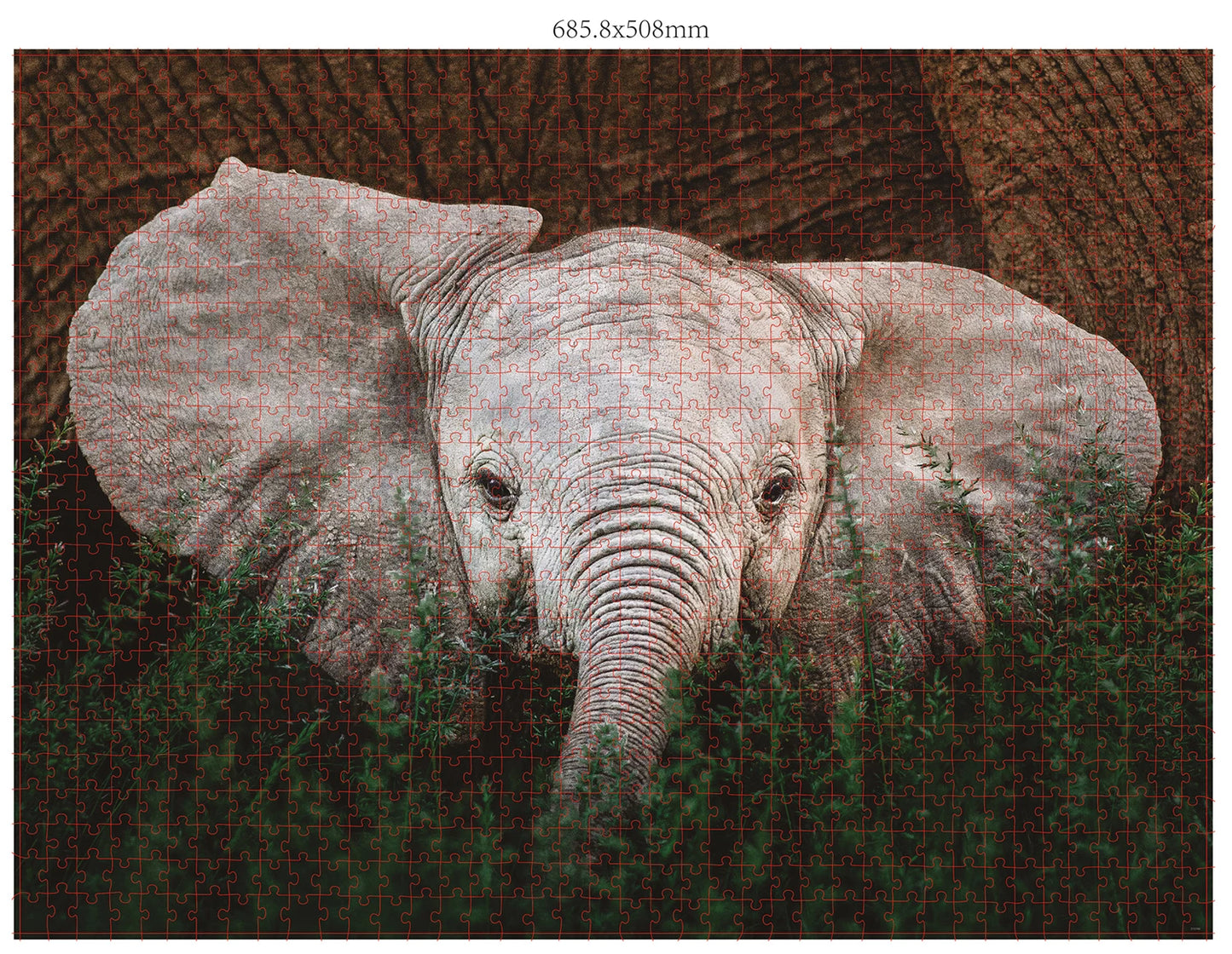 FAUNE SAUVAGE 3X1000 PIÈCES (DONAL BOYD)