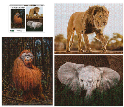 FAUNE SAUVAGE 3X1000 PIÈCES (DONAL BOYD)