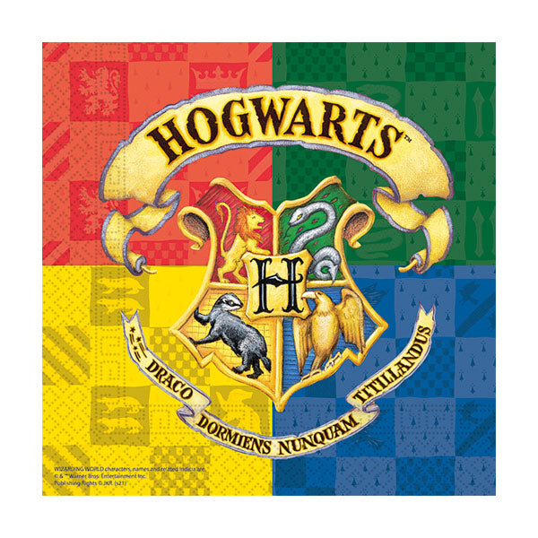 20 SERVETTEN HARRY POTTER 🔶
