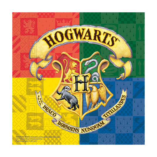 20 SERVETTEN HARRY POTTER 🔶