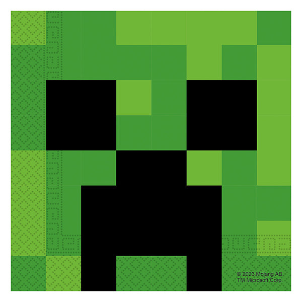 20 SERVIETTEN MINECRAFT 🔶