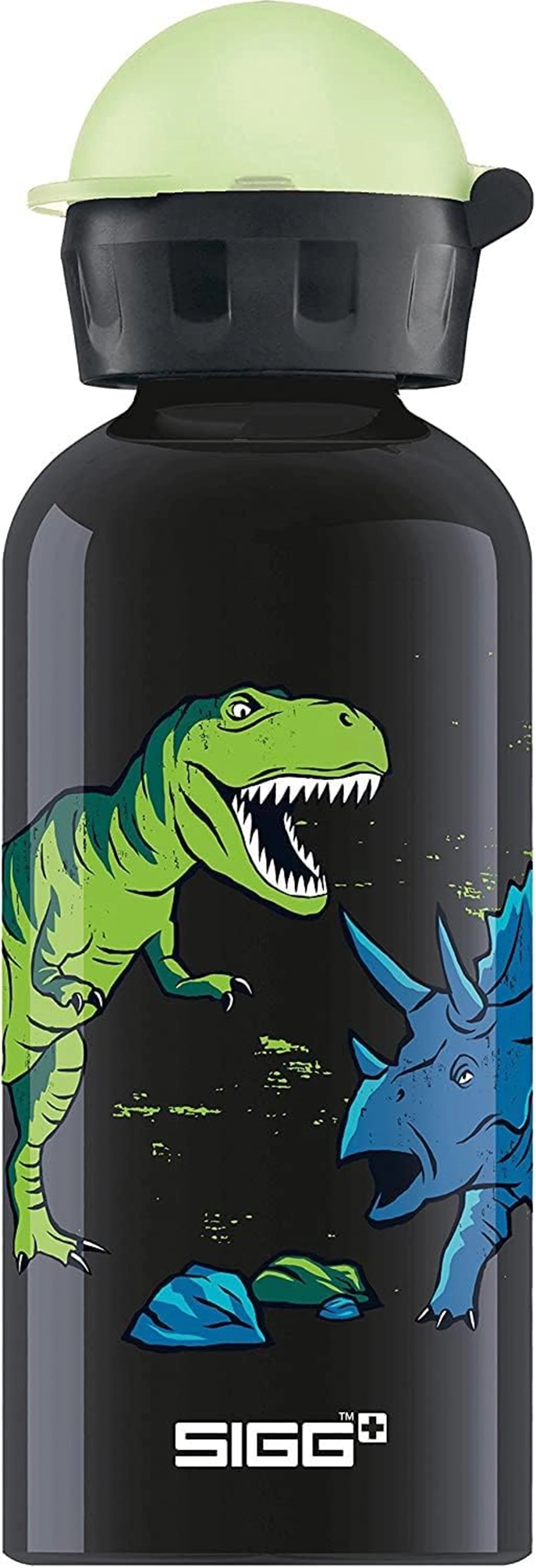 GOURDE POUR ENFANTS DINOSAURES 0,4L