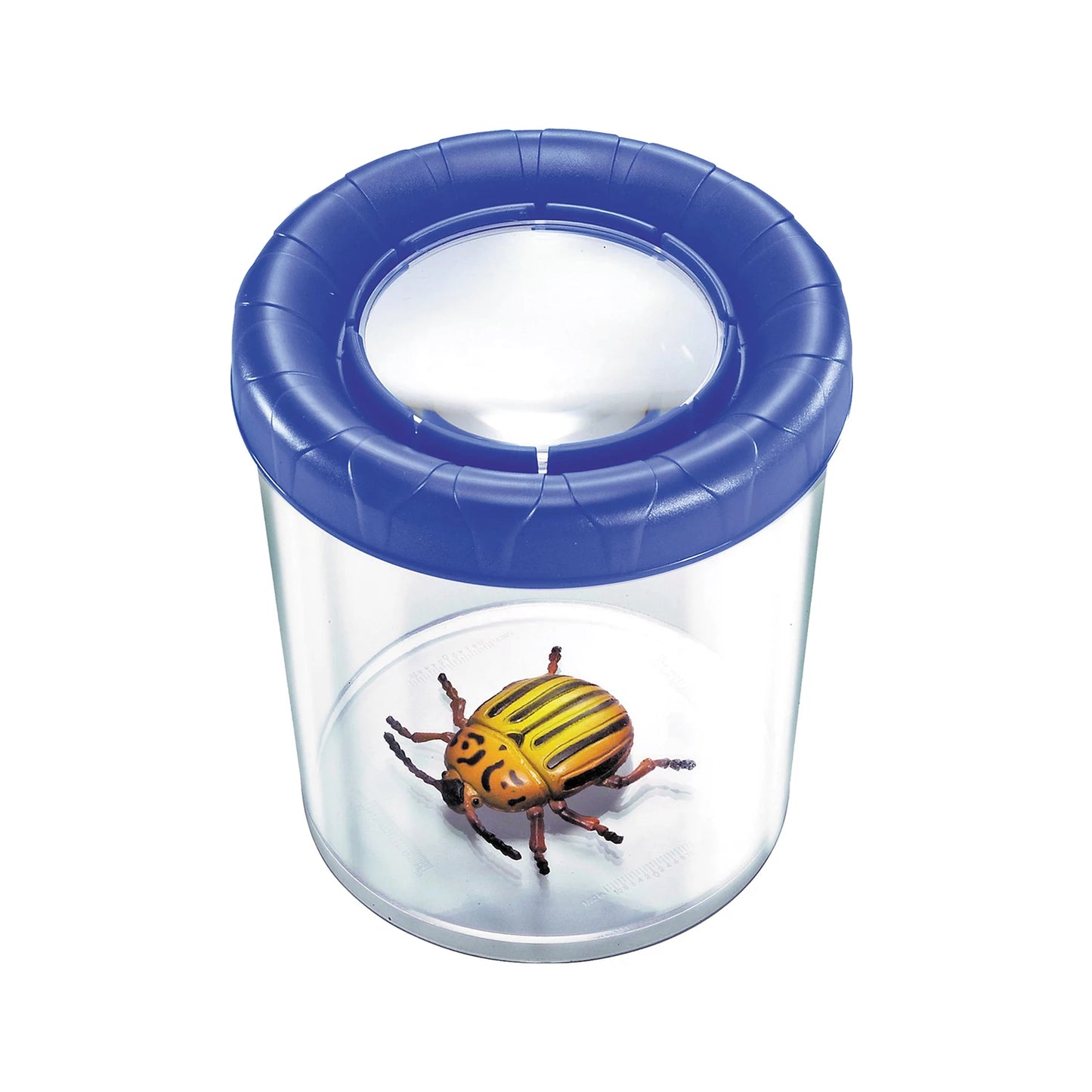 LENTE D'INGRANDIMENTO A TAZZA DA ESPOSIZIONE 100 MM 3X4 ASS