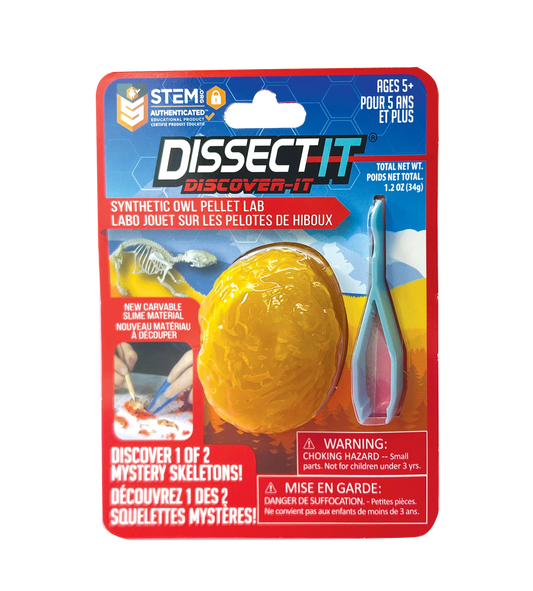 DÉCOUVERTE SECTIONNÉE