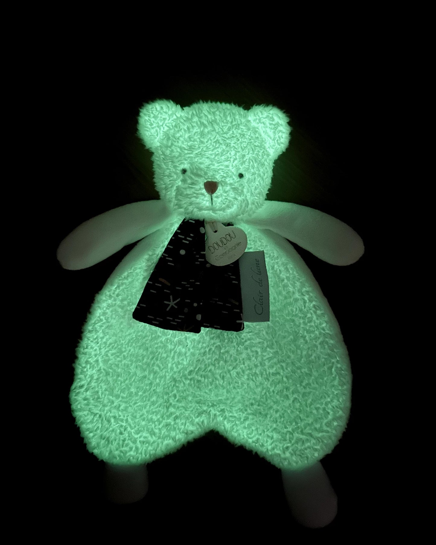 OURSON PHOSPHORESCENT, 26 CM