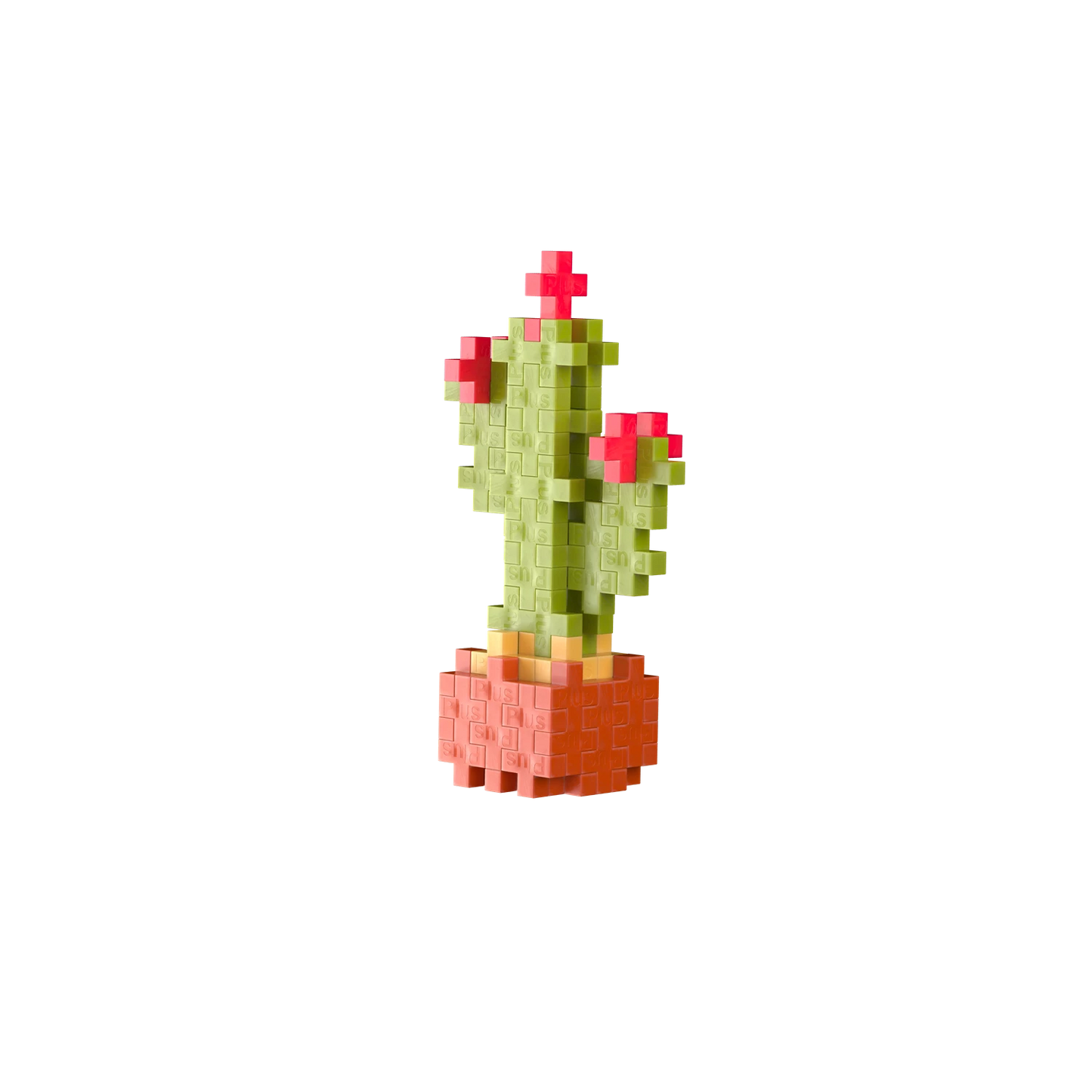 48 BLOCCHI CREATIVI DI CACTUS