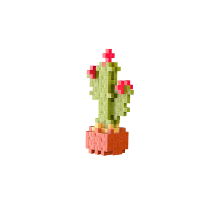 48 BLOCCHI CREATIVI DI CACTUS