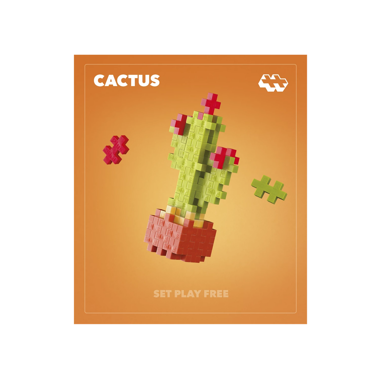 48 BLOCCHI CREATIVI DI CACTUS