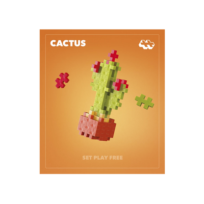 48 BLOCCHI CREATIVI DI CACTUS