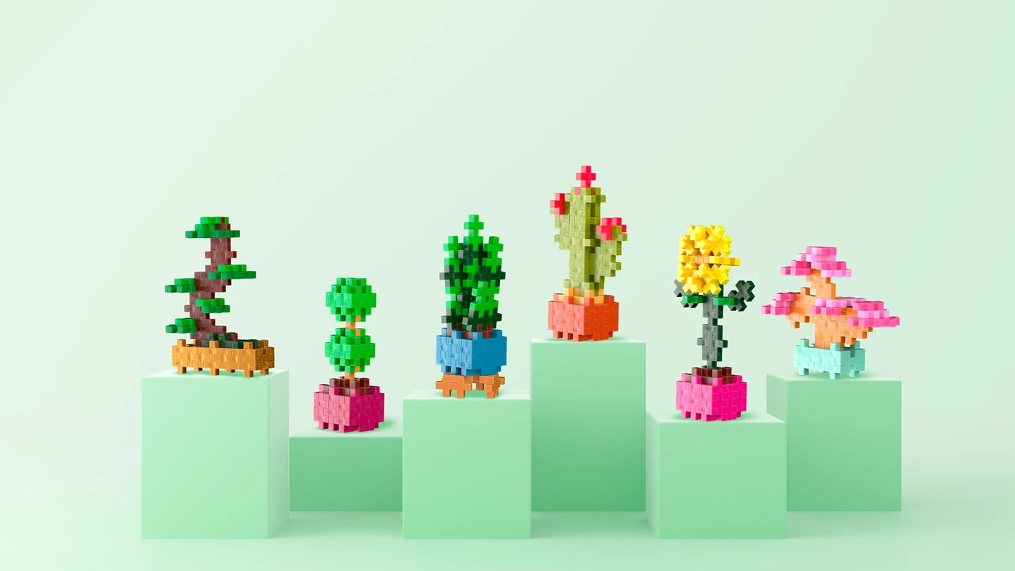 48 BLOCCHI CREATIVI DI CACTUS