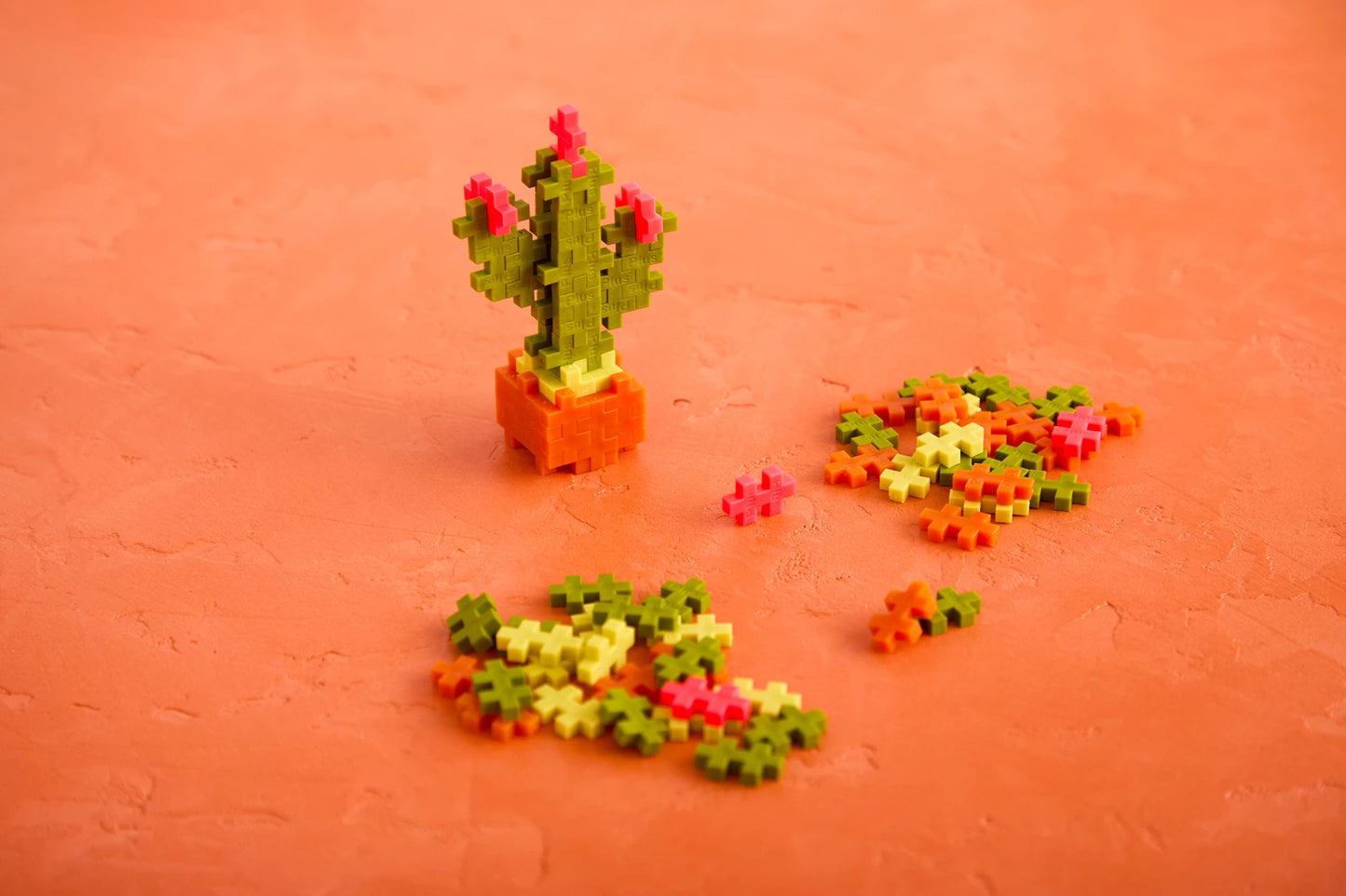 48 BLOCCHI CREATIVI DI CACTUS