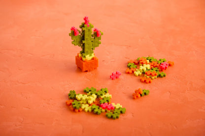 48 BLOCCHI CREATIVI DI CACTUS