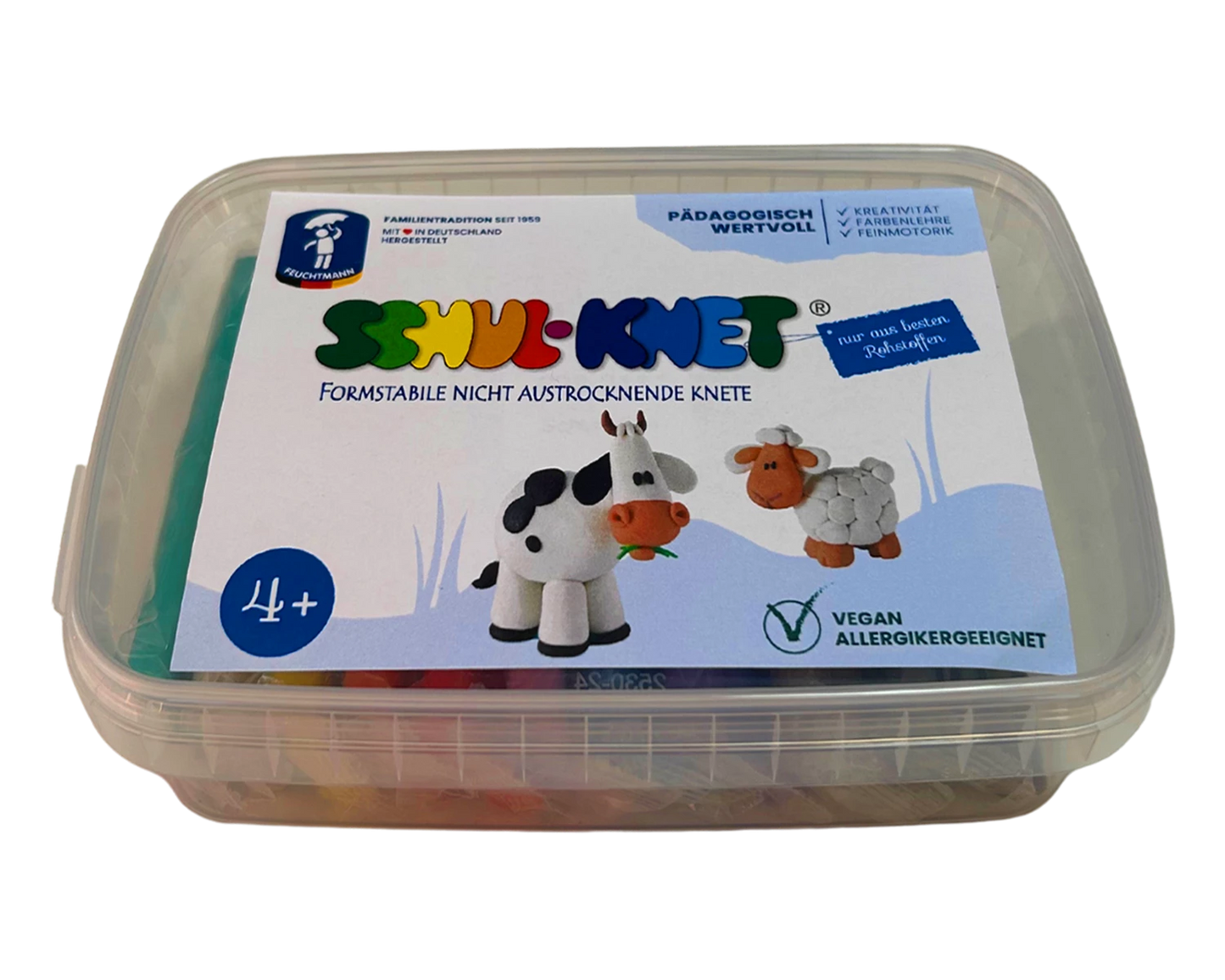 BOÎTE DE PÂTE À MODELER POUR L'ÉCOLE 10X40G