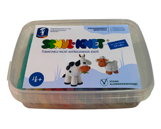 SCATOLA DI PASTA DA MODELLARE PER LA SCUOLA 10X40G
