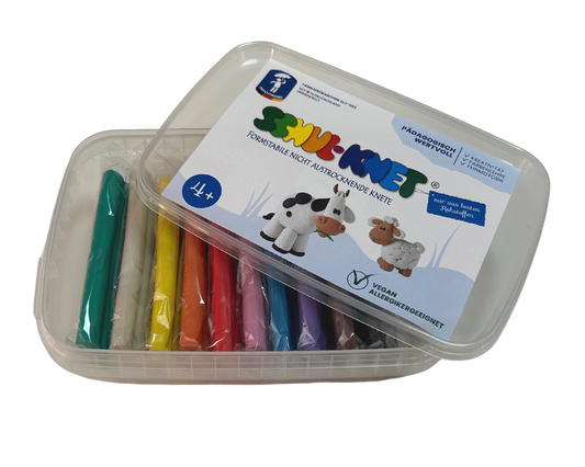 SCATOLA DI PASTA DA MODELLARE PER LA SCUOLA 10X40G