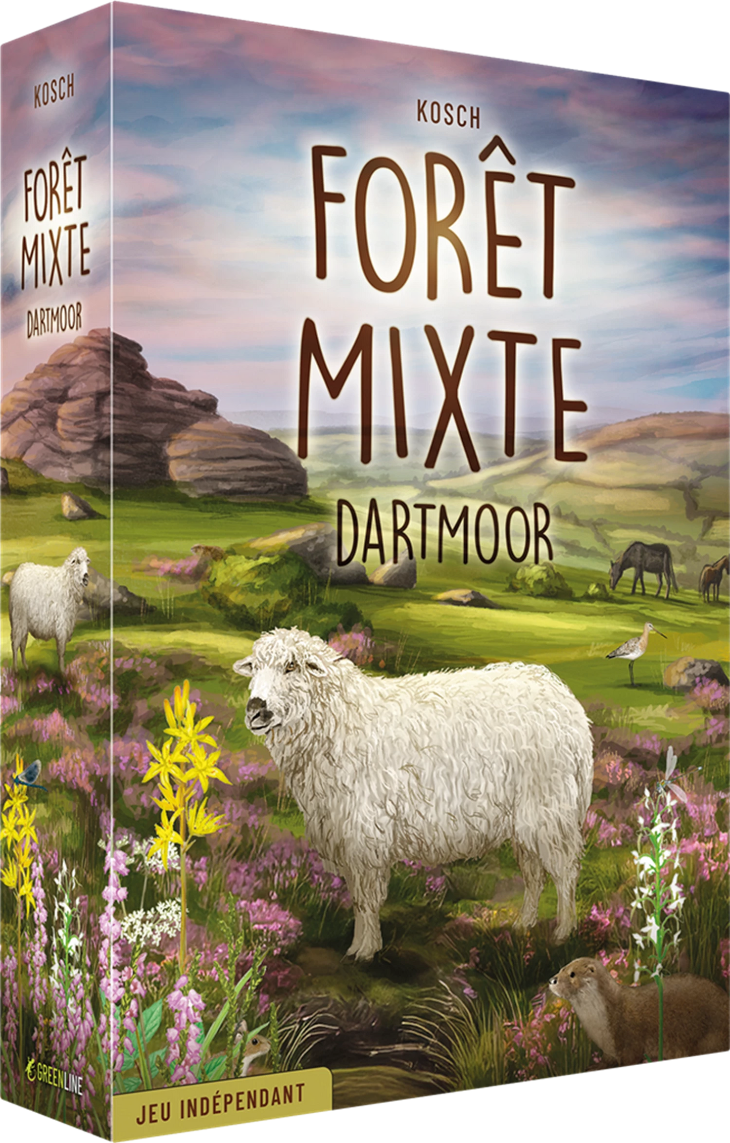 DARTMOOR (FR) MISCHWALD