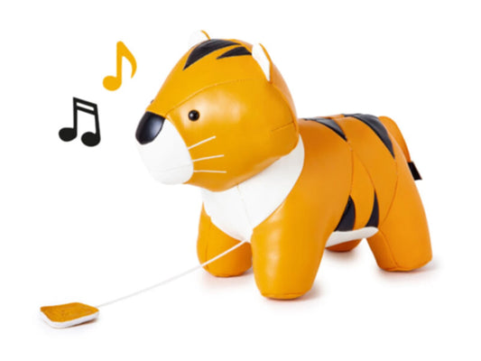 I MUSICISTI - TIMMY LA TIGRE