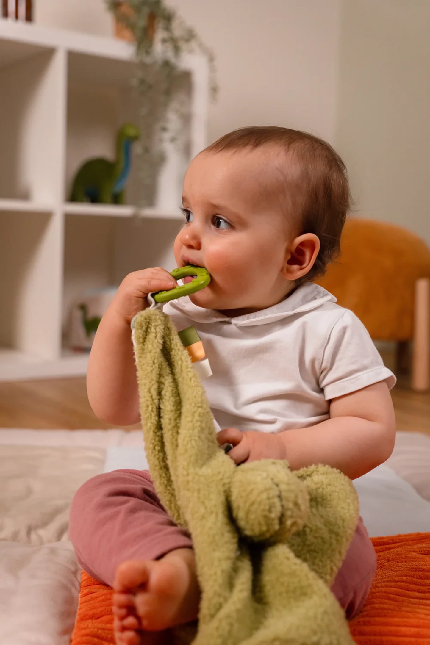 LITTLE BIG FRIENDS - T-REX LE DOUDOU - F/D/I/ML