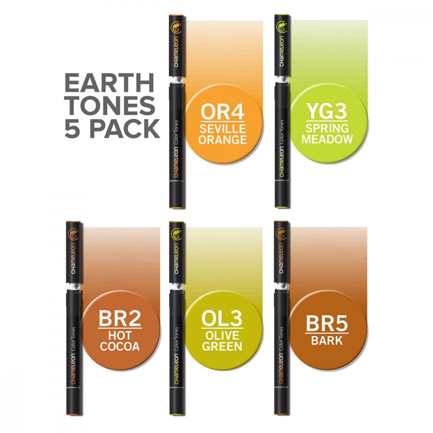 LOT DE 5 STYLOS CHAMELEON TEINTES TERRE