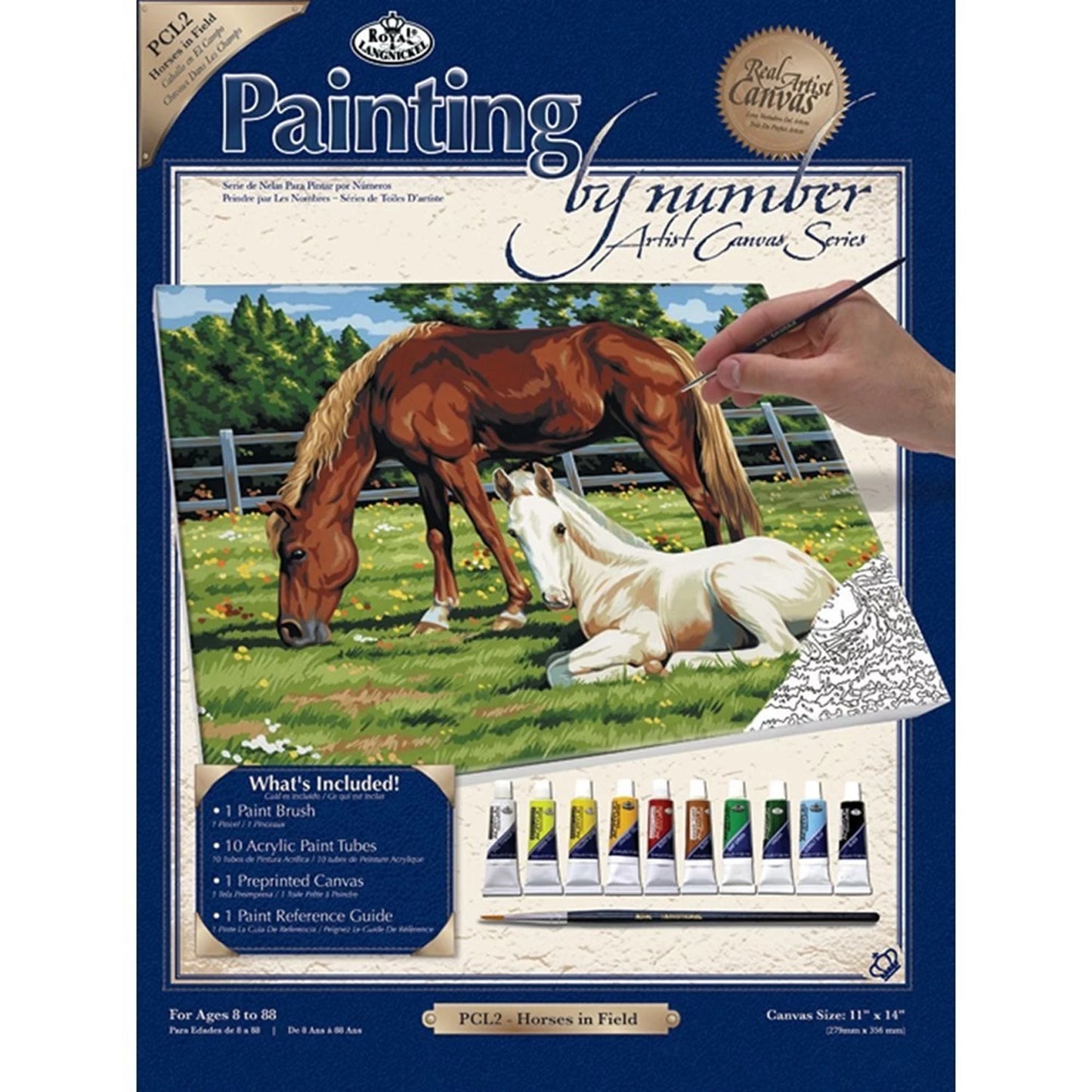 R&L PBN TOILE D'ARTISTE SÉRIE GM CHEVAUX DANS UN CHAMP