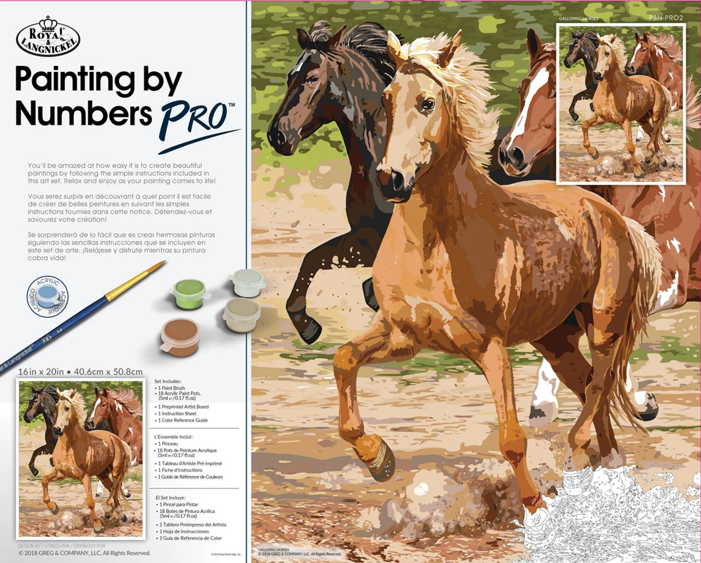 R&L PBN PRO CHEVAL AU GALOP