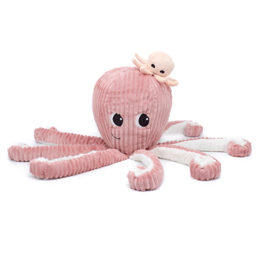 FILOU LA PIEUVRE MAMAN ET ROSA BÉBÉ