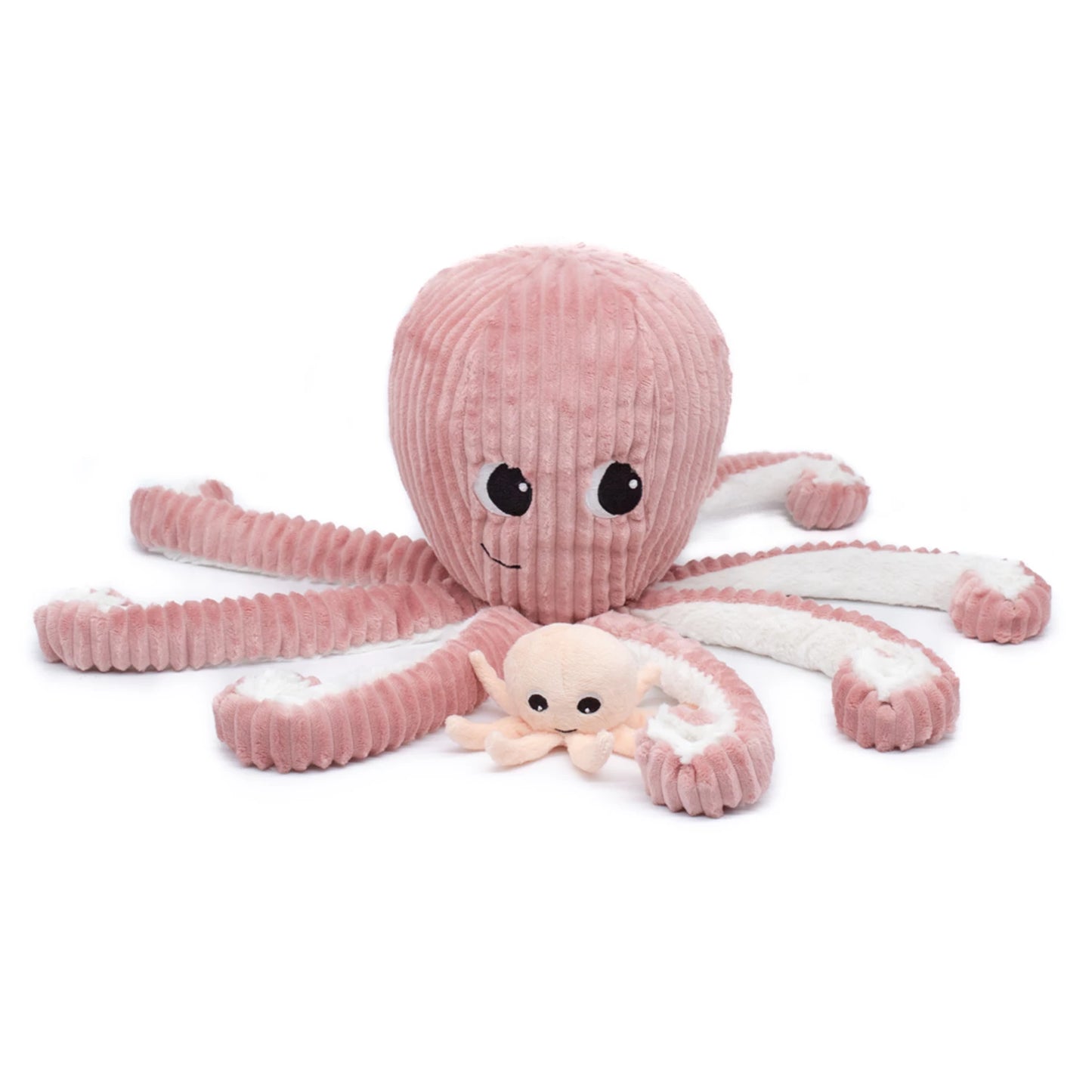 FILOU LA PIEUVRE MAMAN ET ROSA BÉBÉ