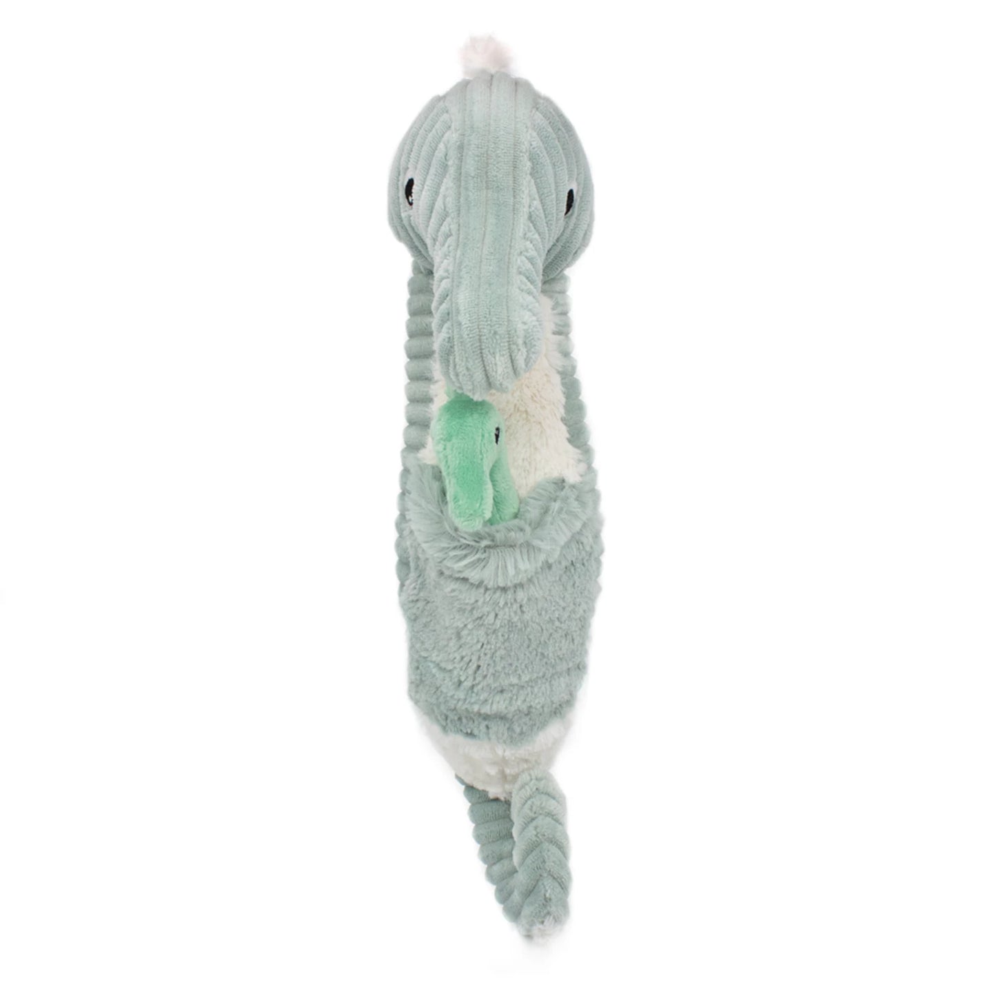 PAPADOU L'HIPPOCAMPE PÈRE ET ENFANT MENTHE
