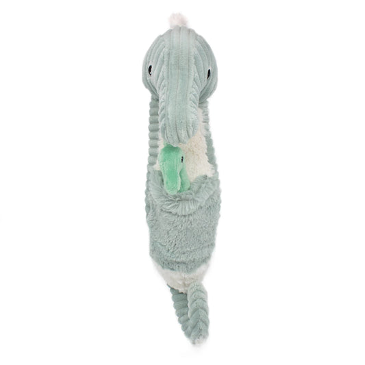 PAPADOU L'HIPPOCAMPE PÈRE ET ENFANT MENTHE