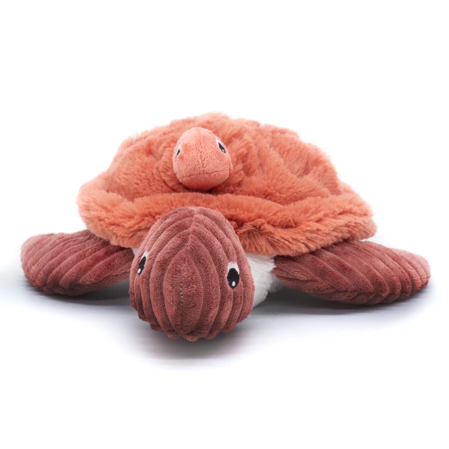SAUVENOU TORTUE MAMAN ET BÉBÉ TERRE CUITE