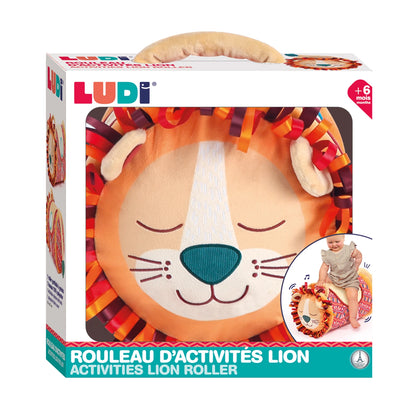 LUDI - AKTIVITÄT LÖWEN-SPIELROLLE - F/D/D/I