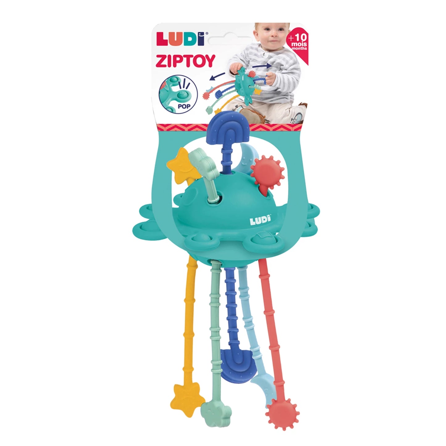LUDI - ZIPTOY - F/D/D/I