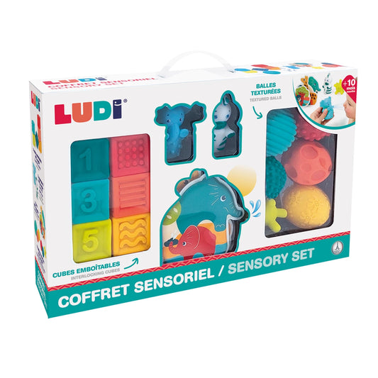 LUDI - COFFRET SOIRÉE JUNGLE - F/D/D/I