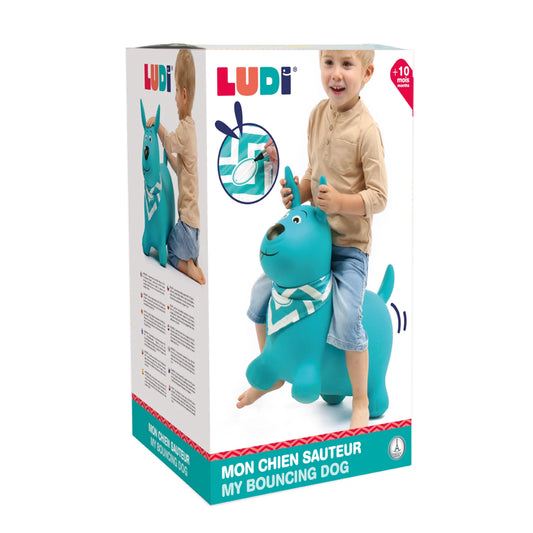 LUDI - CHEVAL SAUTEUR BLEU - F/D/D/I