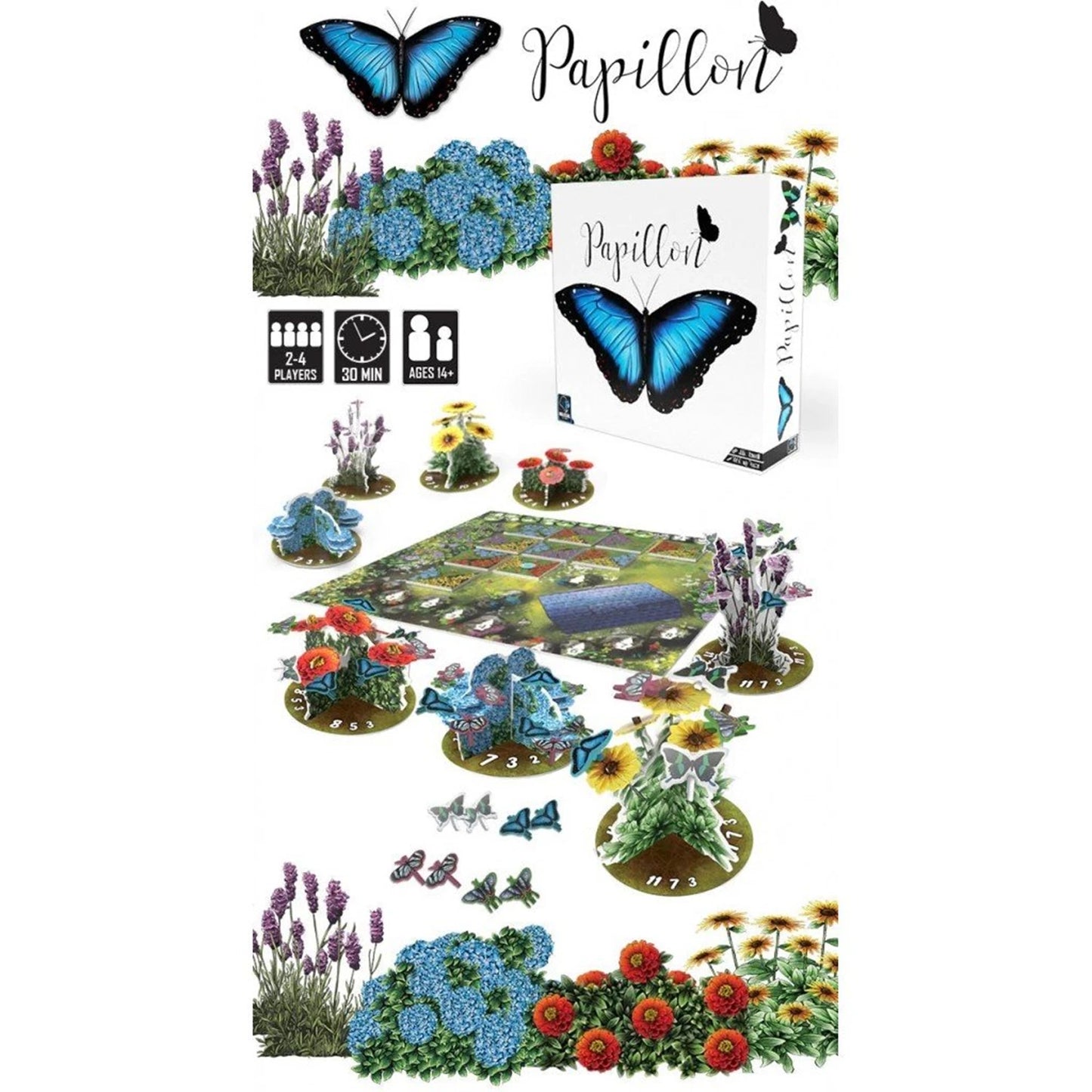 PAPILLON (FR)