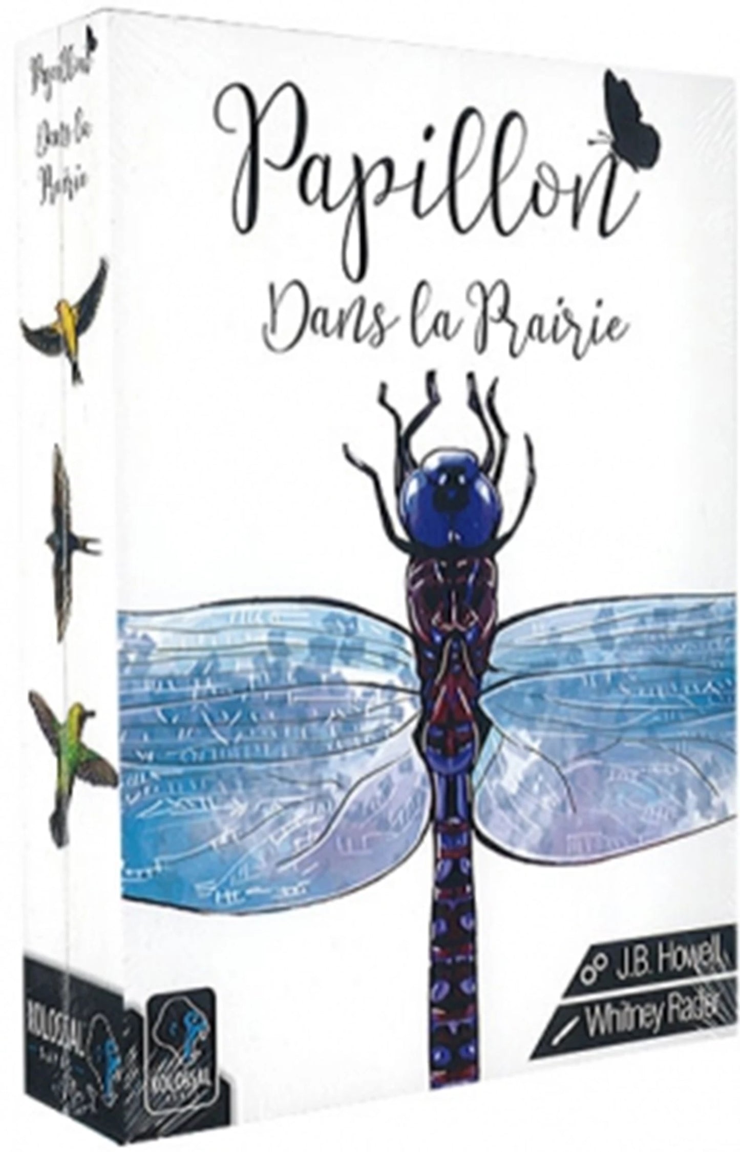 EXTENSION PAPILLON DANS LA PRAIRIE (FR)