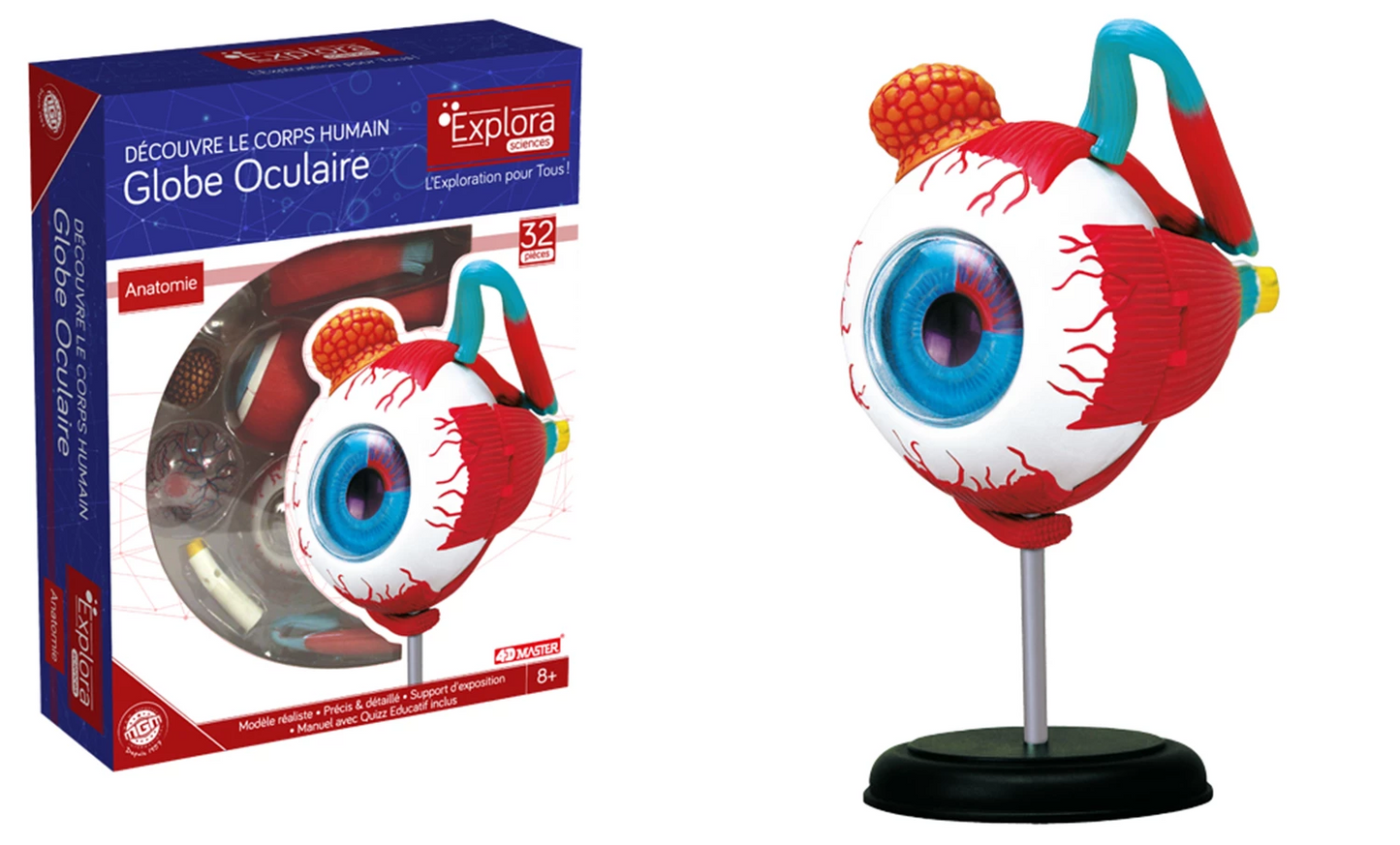 EXPLORA AUGENANATOMIE-SET 32-TEILIG (FR)