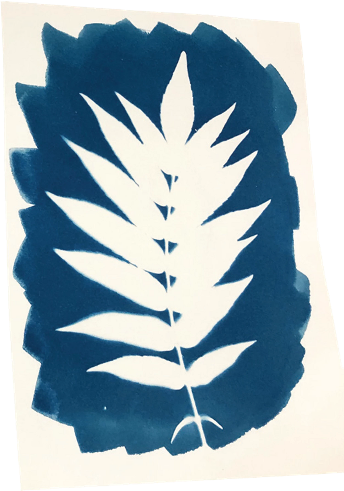 KIT ARTISTIQUE CYANOTYPE